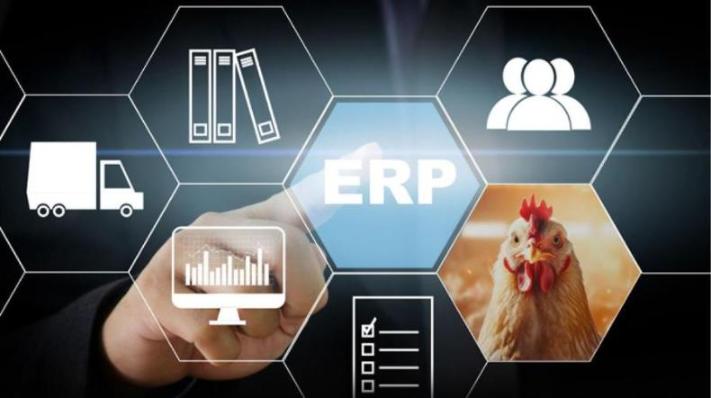 Группа «ПРОДО» начала внедрение системы ERP на своих птицефабриках